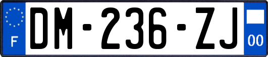 DM-236-ZJ