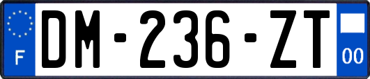 DM-236-ZT