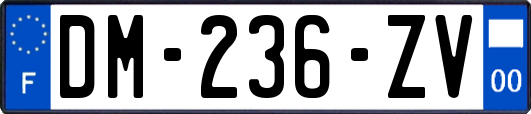 DM-236-ZV