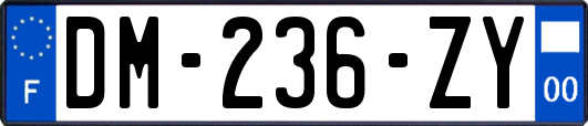 DM-236-ZY