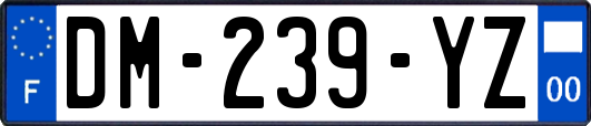 DM-239-YZ