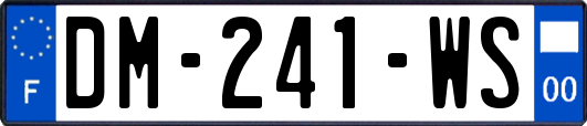 DM-241-WS