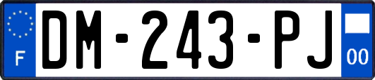 DM-243-PJ