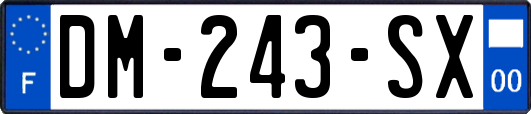 DM-243-SX