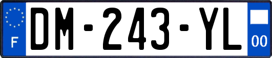 DM-243-YL