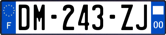 DM-243-ZJ