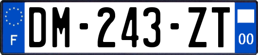 DM-243-ZT