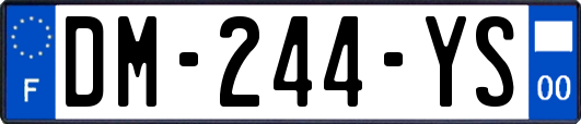 DM-244-YS