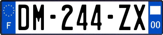 DM-244-ZX