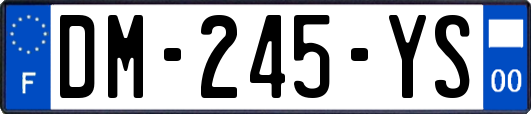 DM-245-YS