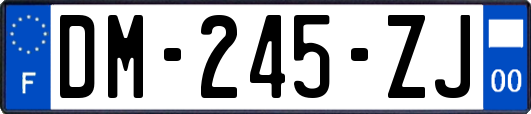 DM-245-ZJ