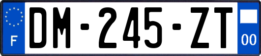 DM-245-ZT