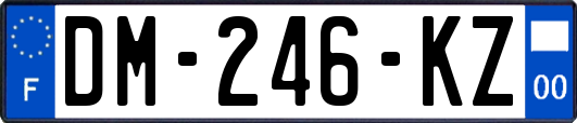 DM-246-KZ
