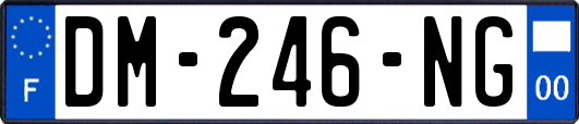 DM-246-NG