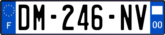 DM-246-NV