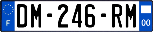 DM-246-RM