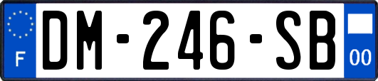 DM-246-SB