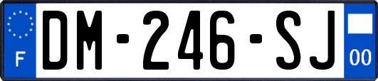 DM-246-SJ