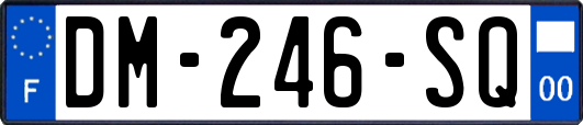 DM-246-SQ