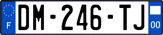 DM-246-TJ