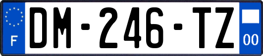 DM-246-TZ