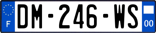 DM-246-WS