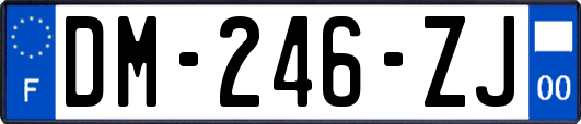 DM-246-ZJ