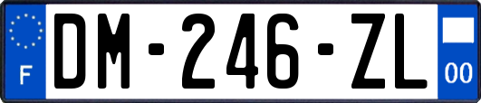 DM-246-ZL