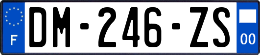 DM-246-ZS