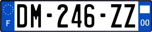 DM-246-ZZ