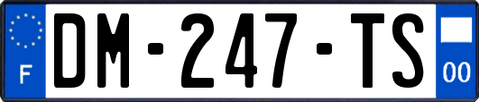 DM-247-TS