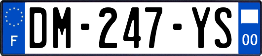 DM-247-YS