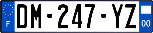 DM-247-YZ