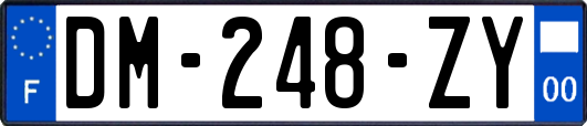 DM-248-ZY