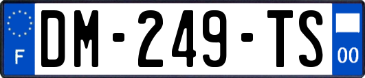 DM-249-TS