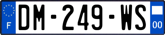 DM-249-WS