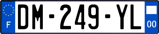 DM-249-YL