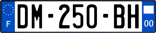 DM-250-BH