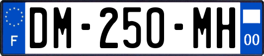 DM-250-MH