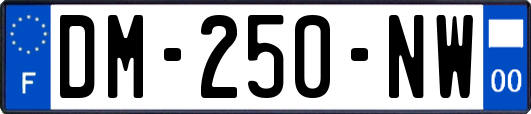 DM-250-NW