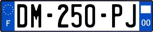 DM-250-PJ
