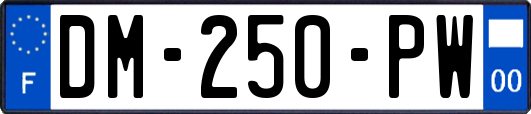 DM-250-PW