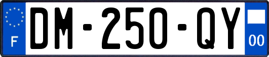DM-250-QY