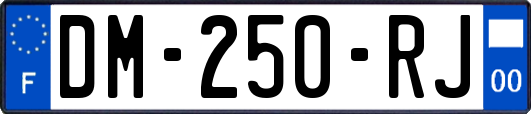 DM-250-RJ