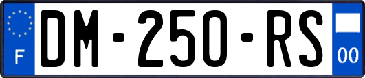 DM-250-RS