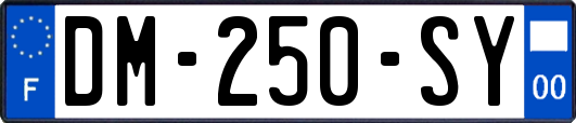 DM-250-SY