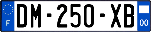 DM-250-XB