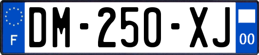 DM-250-XJ