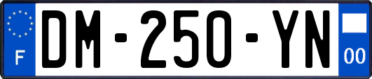 DM-250-YN