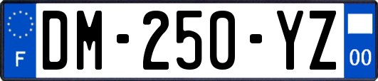 DM-250-YZ